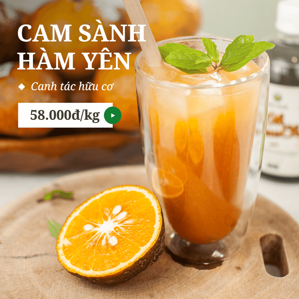 Cam sành hữu cơ Hàm Yên