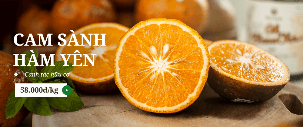 Cam sành hữu cơ Hàm Yên