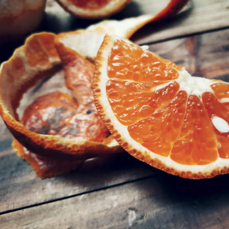 CHUYẾN CAM CUỐI MÙA