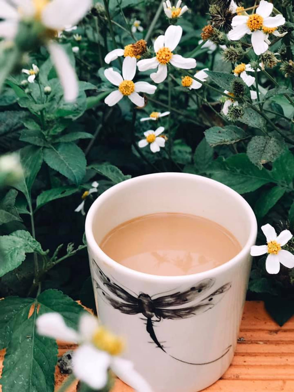 NGỒI XUỐNG ĐÂY LANG KỂ CHO MÀ NGHE