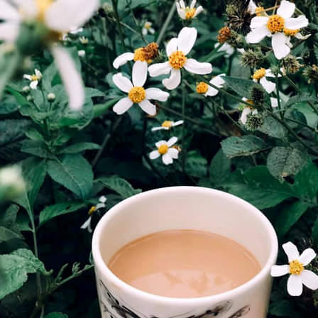 NGỒI XUỐNG ĐÂY LANG KỂ CHO MÀ NGHE