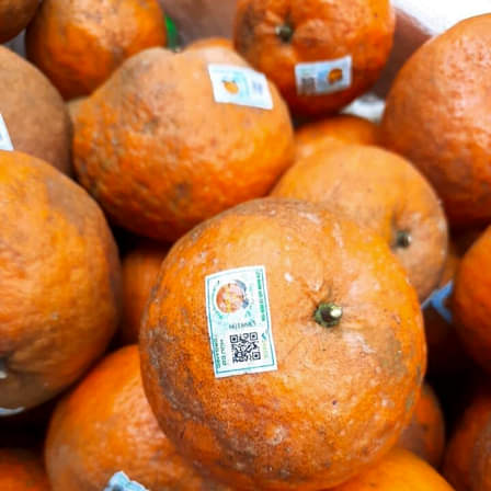 TRAO ĐI SỰ TINH TẾ