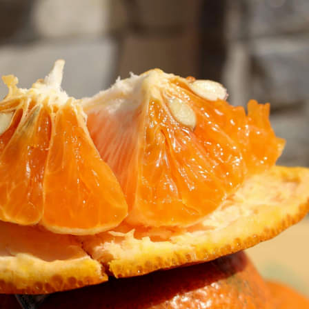 MỘT LỜI CÁM ƠN