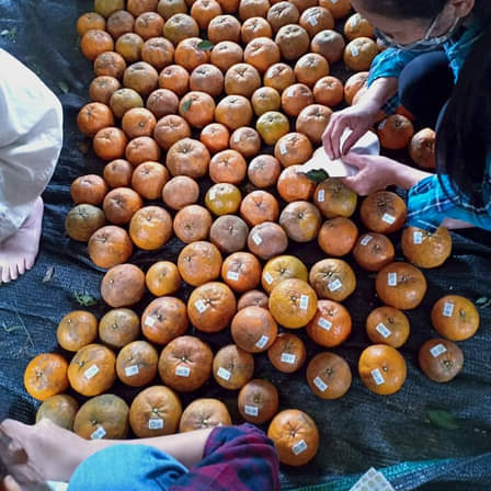 KHÉP LẠI DỰ ÁN CAM 2020