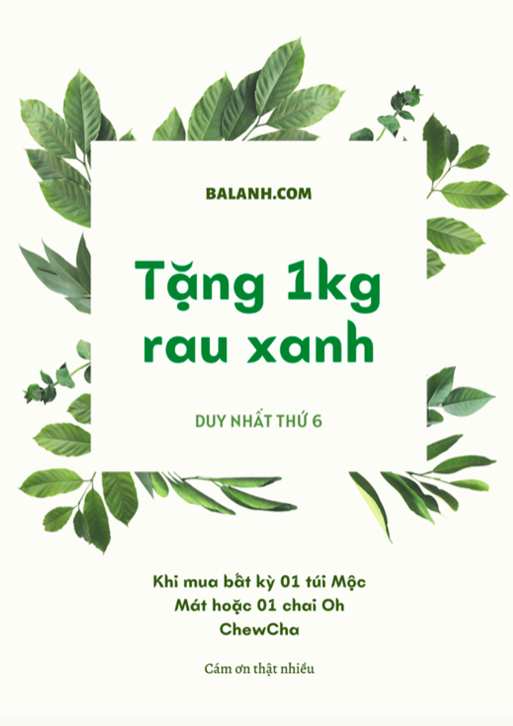 THỨ 6 TẶNG RAU