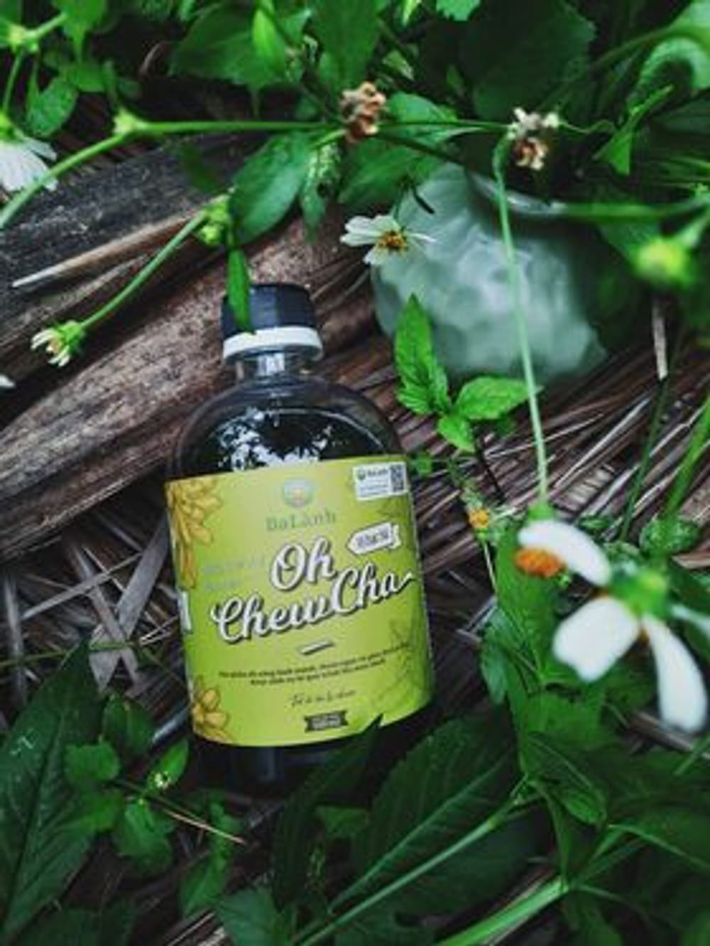 HƯƠNG THƠM MAN MÁT  TỪ CHEWCHA BẠC HÀ