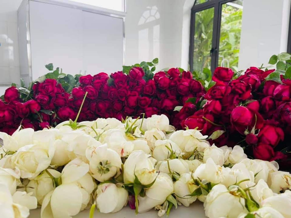 HOA HỒNG VÀ KAROSE