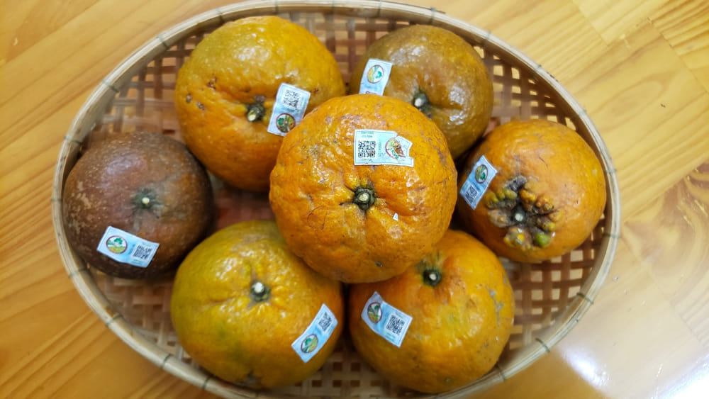 KHỞI NGHIỆP CÙNG CAM HÀM YÊN - TUYÊN QU ANG