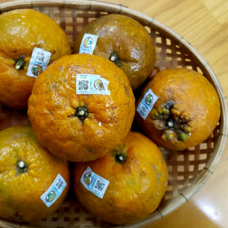 KHỞI NGHIỆP CÙNG CAM HÀM YÊN - TUYÊN QU ANG