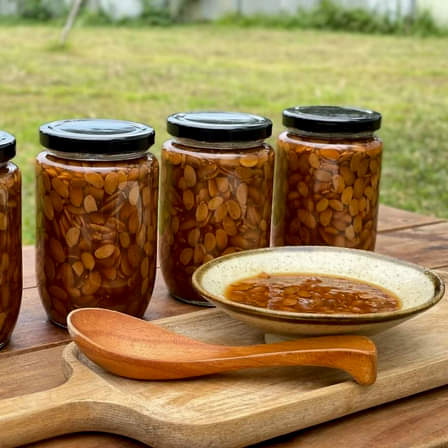 TƯƠNG VÀ TƯƠNG HỘT